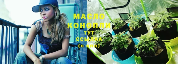 гидра Струнино