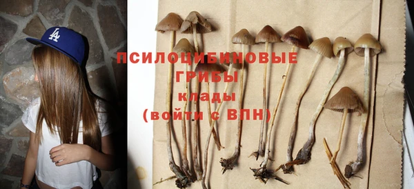 ГАЛЛЮЦИНОГЕННЫЕ ГРИБЫ Анива